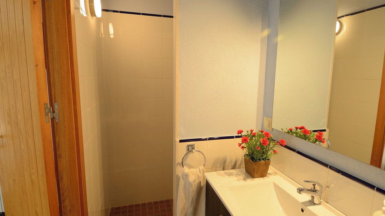 Photo of Bathroom in Arbucies