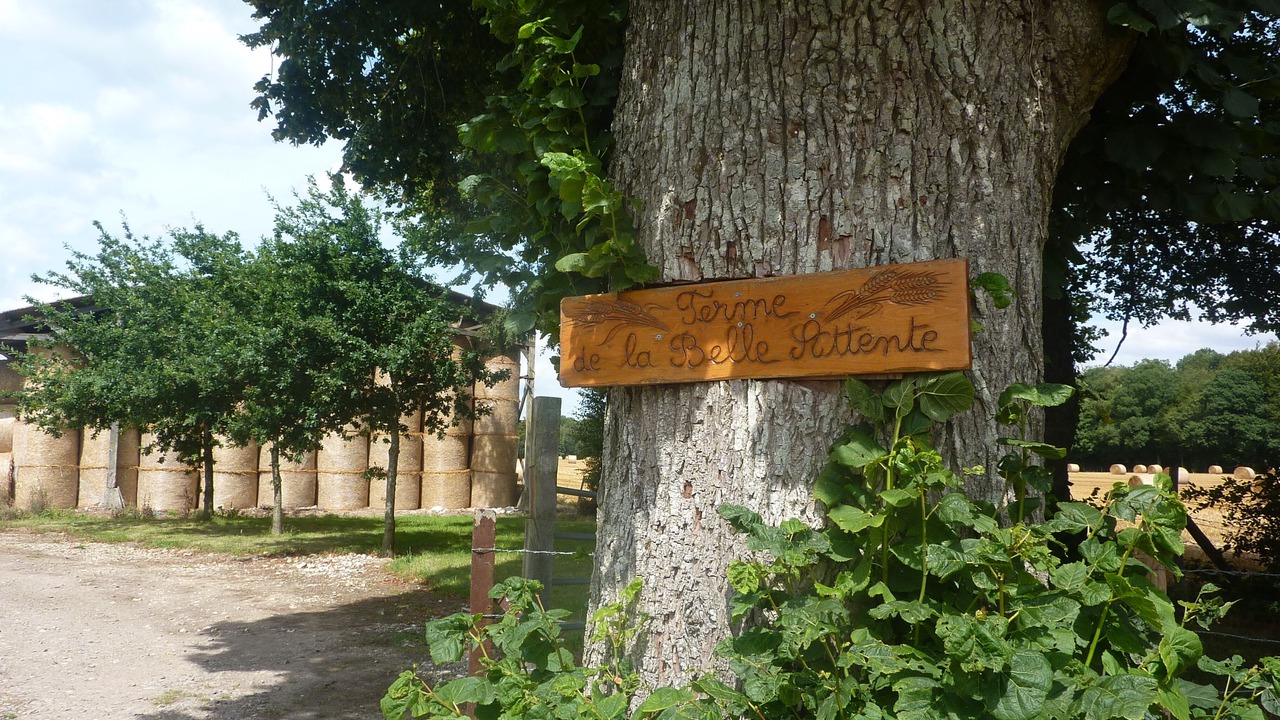 Photo of Outdoor in Aubeguimont
