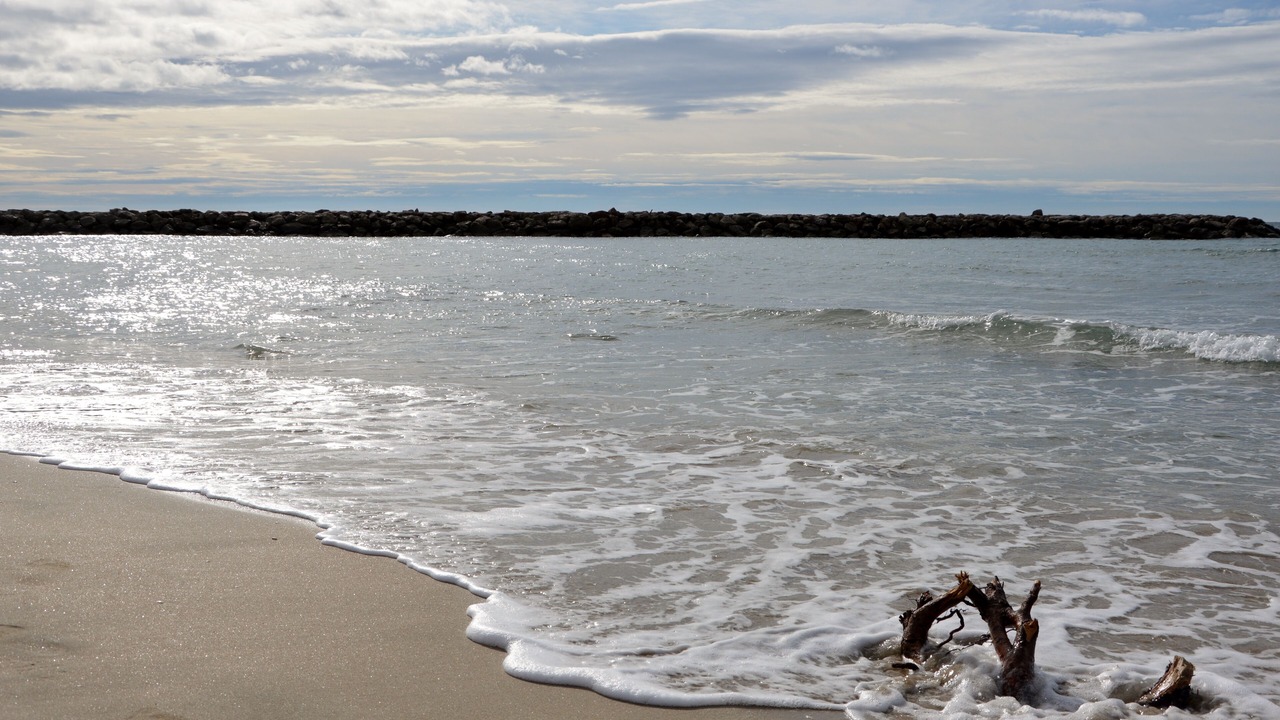 Photo of Others in Palavas-les-Flots