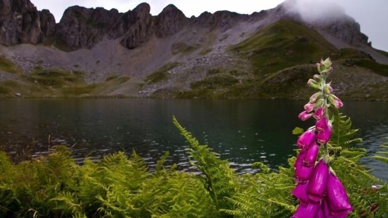 Photo of Outdoor in Anso