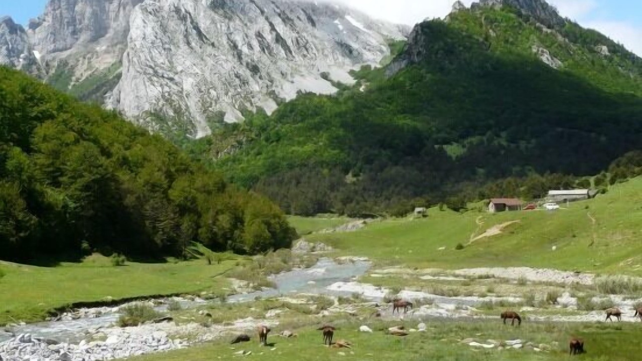 Photo of Others in Anso