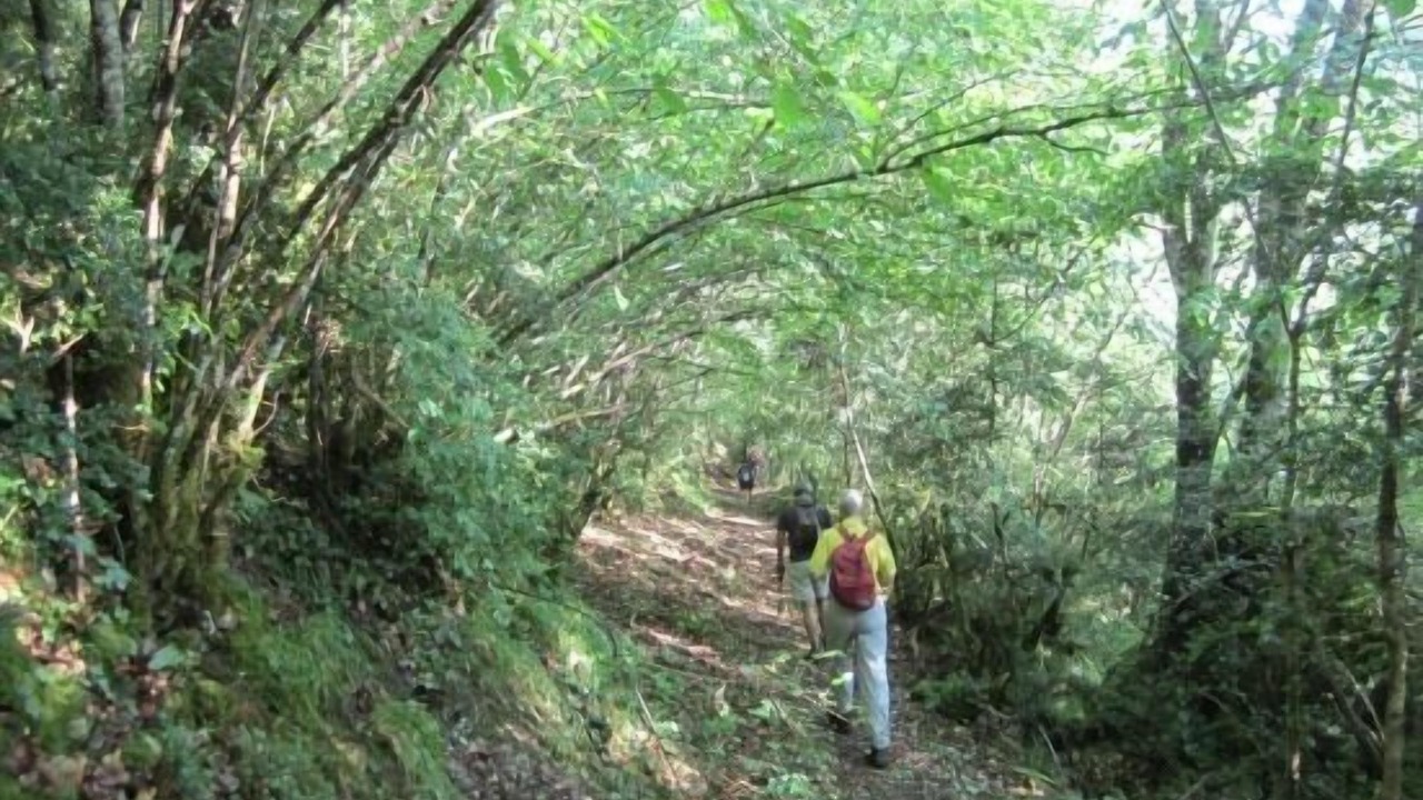 Photo of Outdoor in Anso