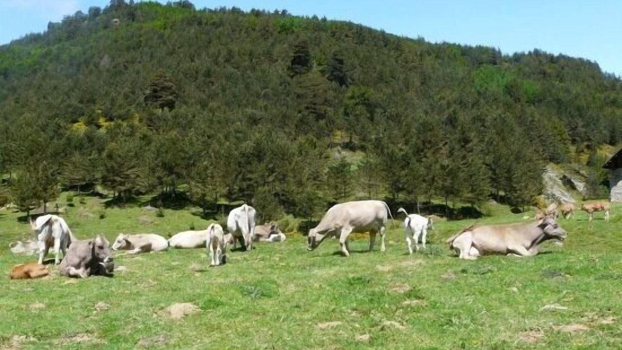 Photo of Outdoor in Anso