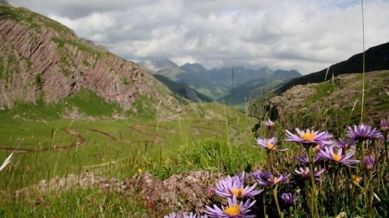 Photo of Outdoor in Anso
