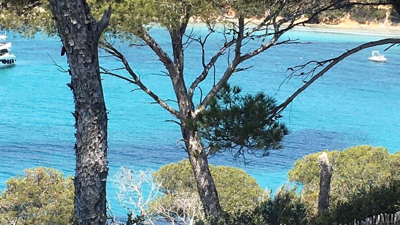 Photo of Others in Le Lavandou