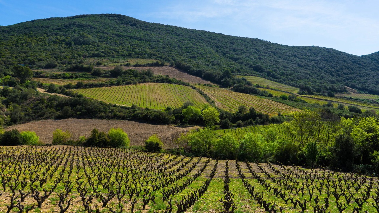 Photo of Others in Roquebrun