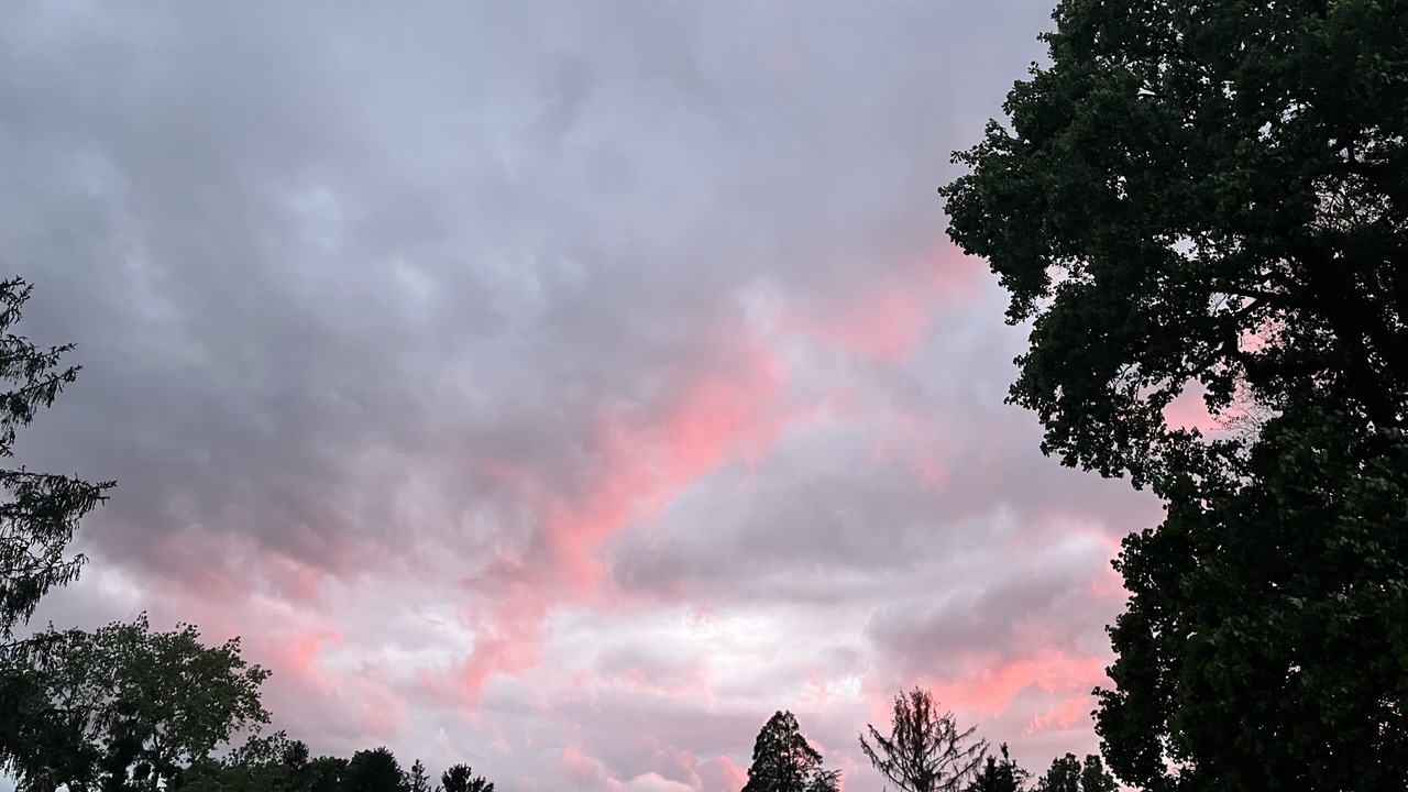 Photo of Others in Bayonne