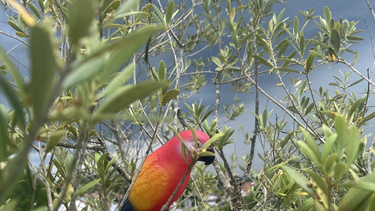 Photo of Outdoor in Bayonne