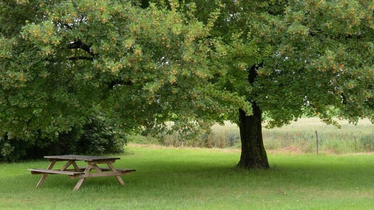Photo of Outdoor in Le Gue-d'Allere