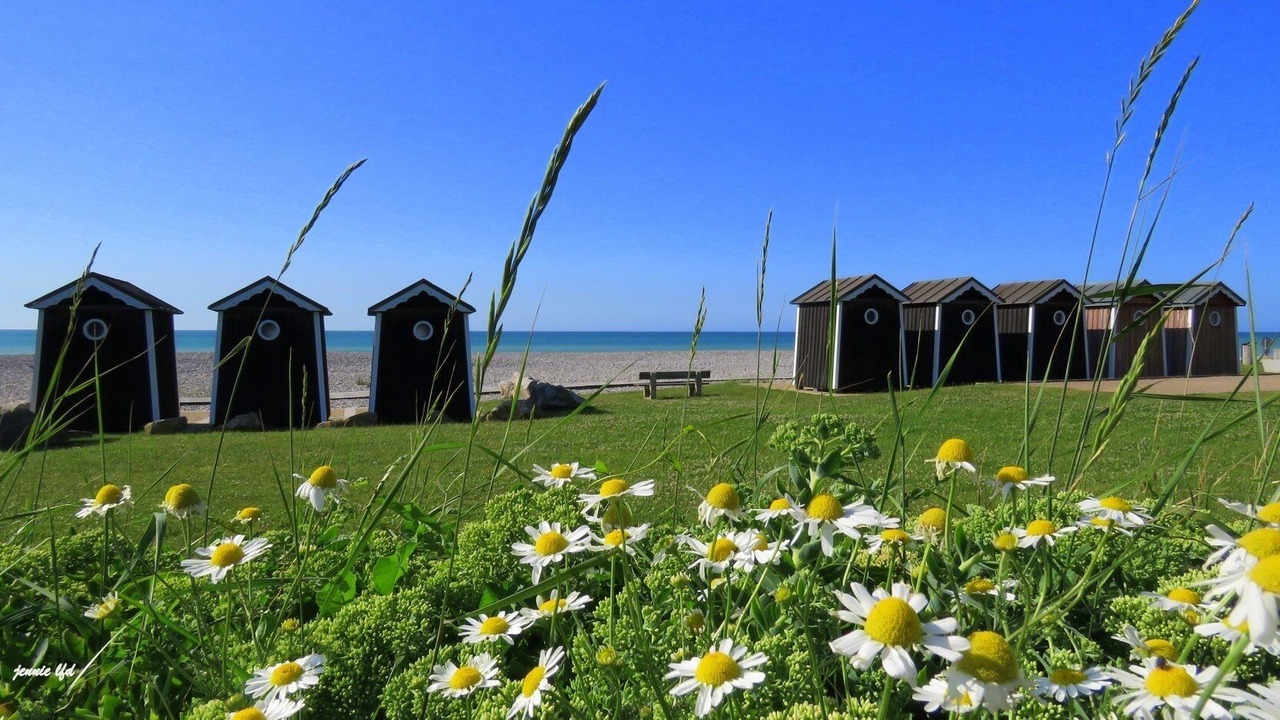 Photo of Outdoor in Quiberville