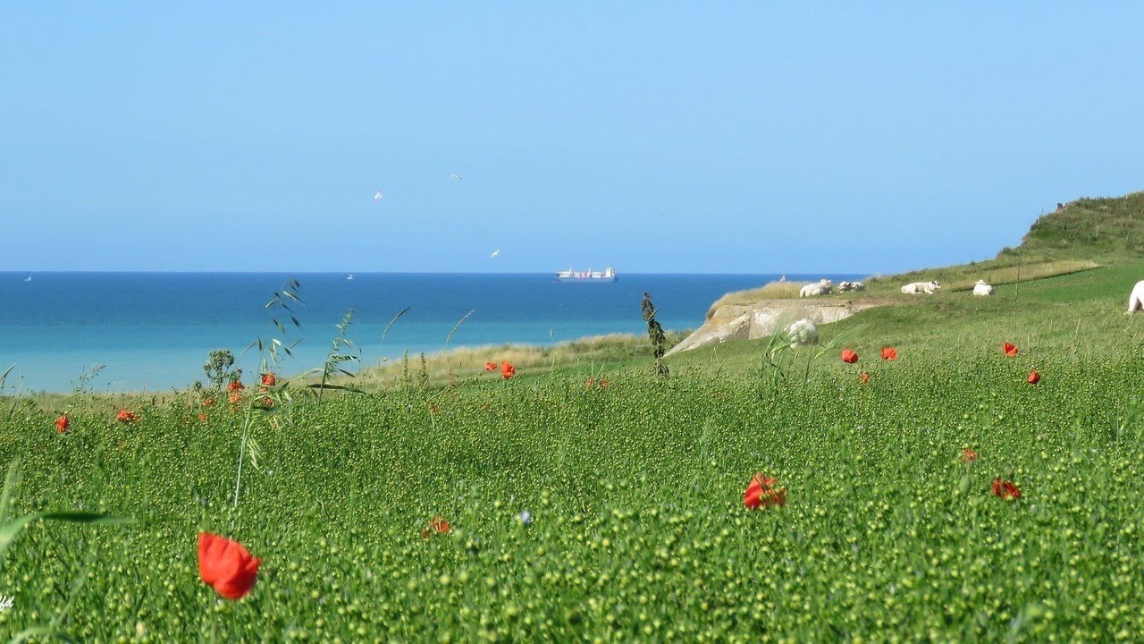 Photo of Outdoor in Quiberville