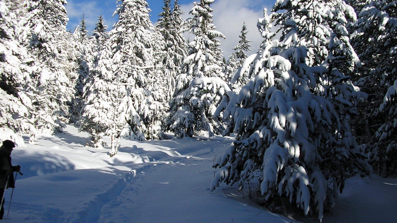 Photo of Others in Font-Romeu-Odeillo-Via