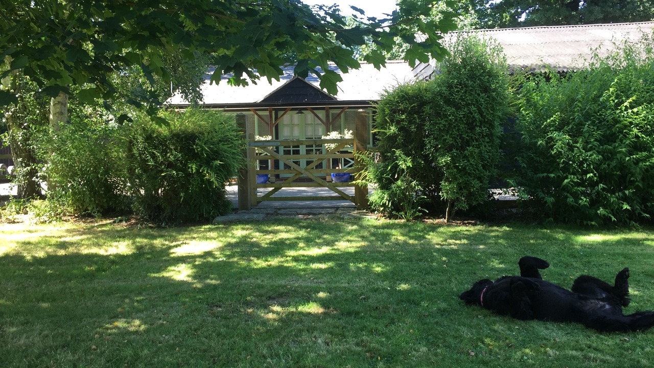 Photo of Outdoor in Tiptoe