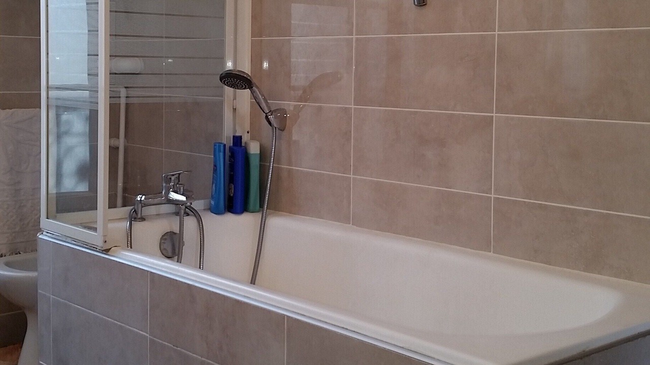 Photo of Bathroom in Quartier de la Plaine-de-Monceaux