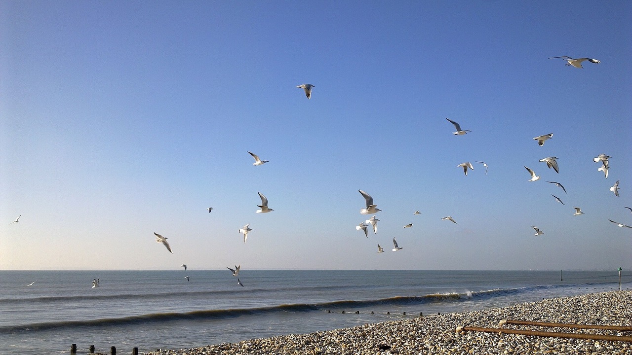 Photo of Others in West Meon