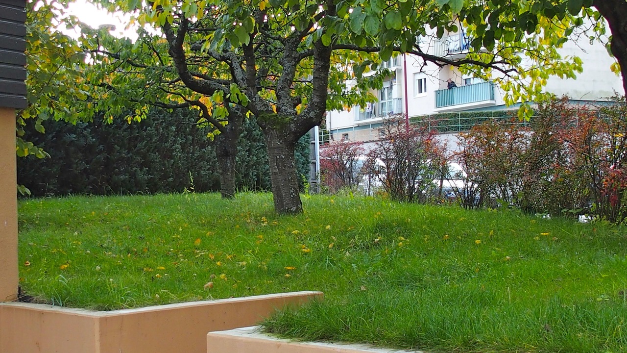Photo of Outdoor in Ribeauville