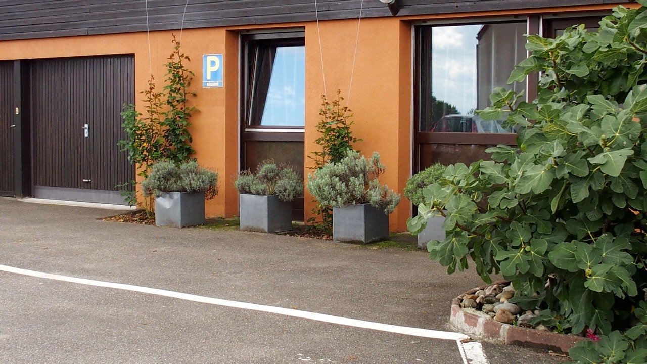 Photo of Outdoor in Ribeauville