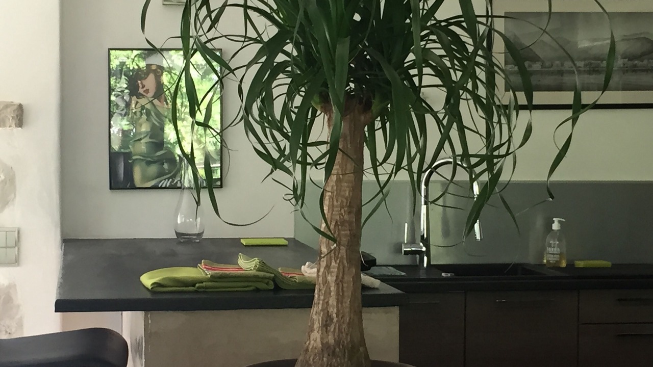 Photo of Others in Roquefort-les-Pins