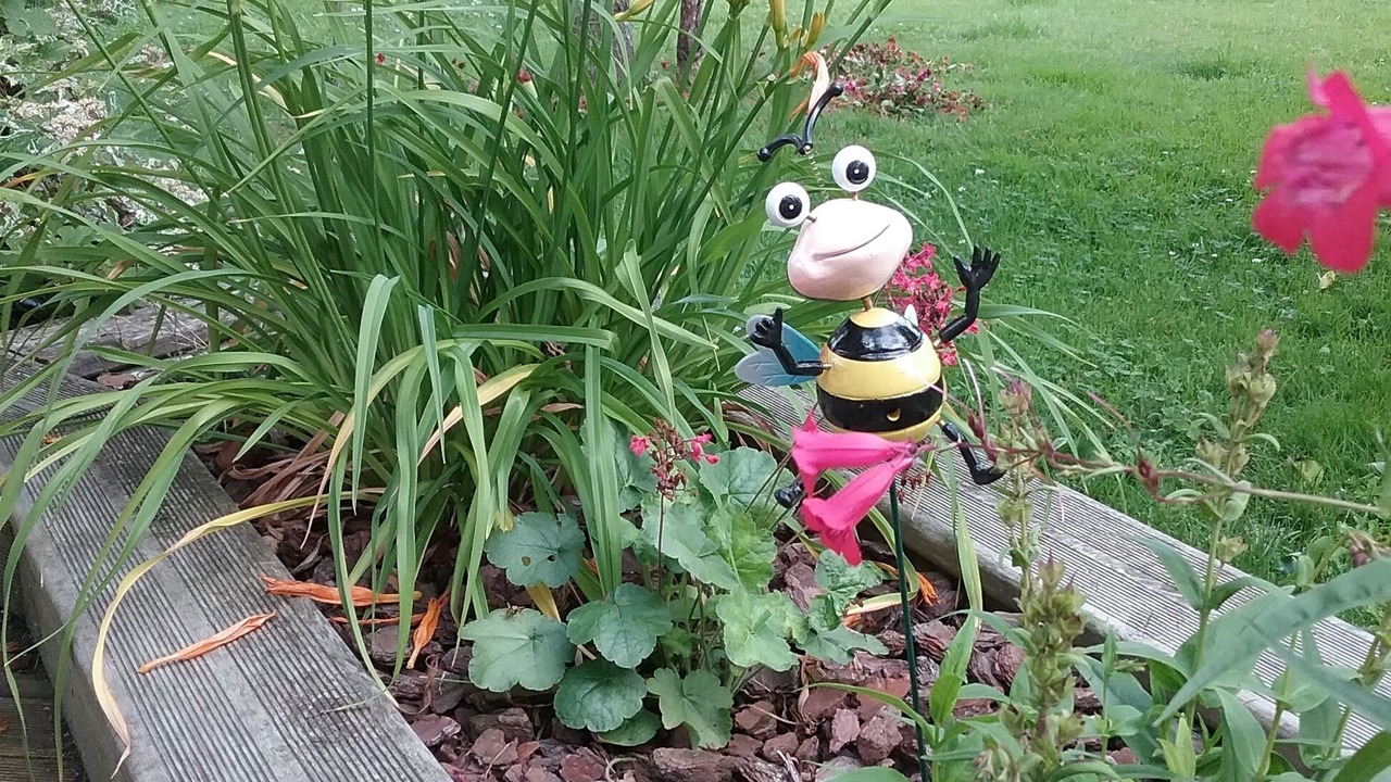 Photo of Outdoor in Louans