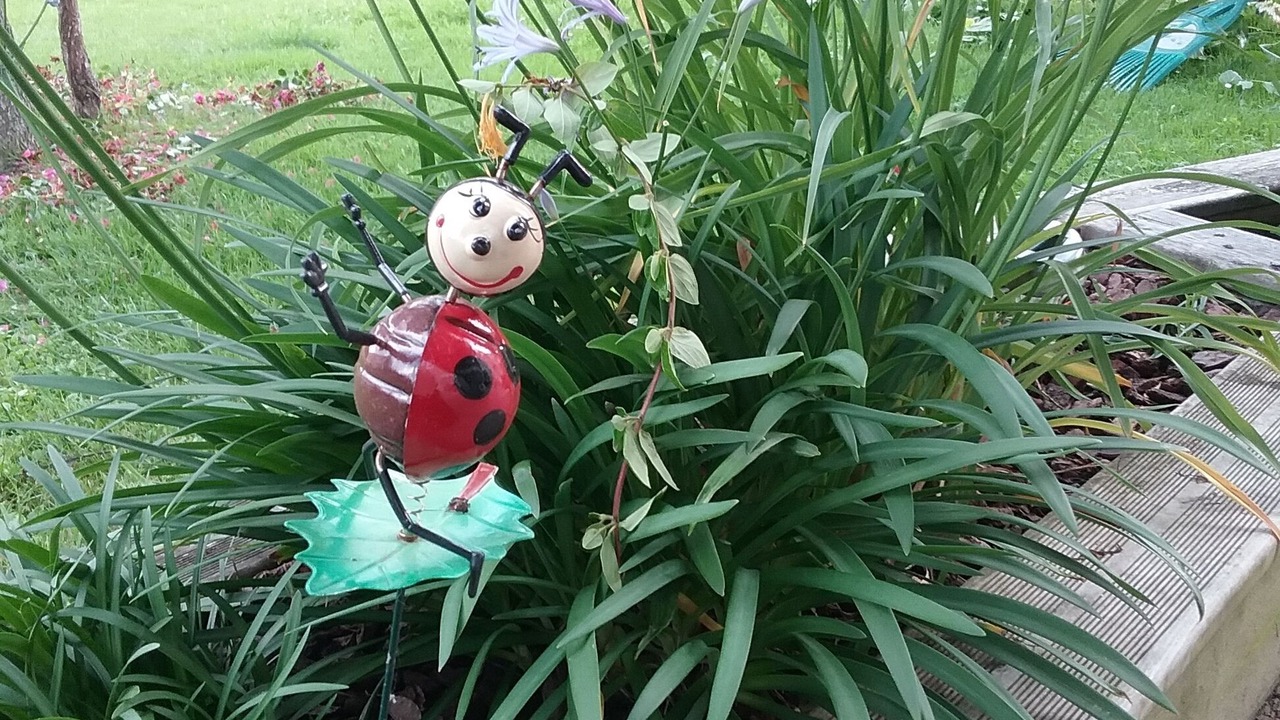 Photo of Outdoor in Louans