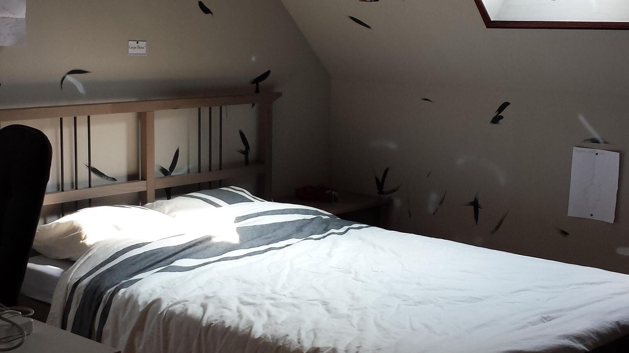 Photo of Bedroom in Louans