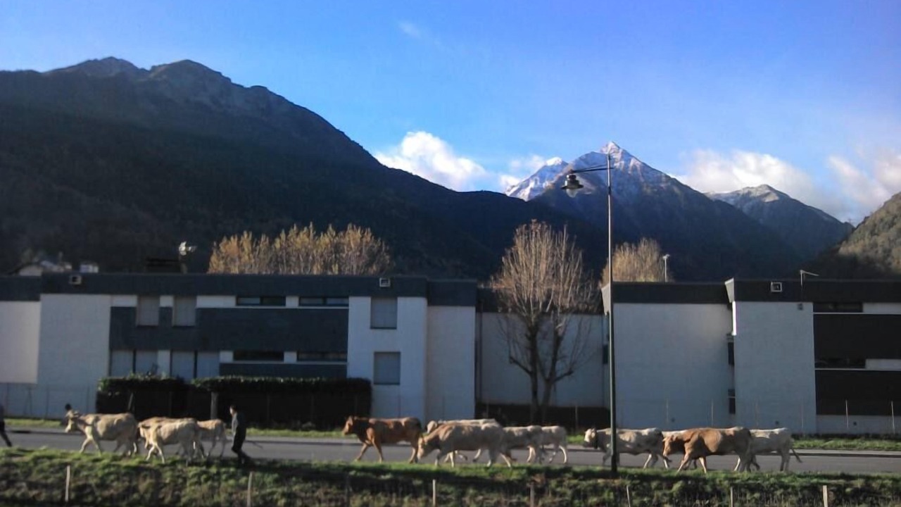 Photo of Others in Saint-Lary-Soulan