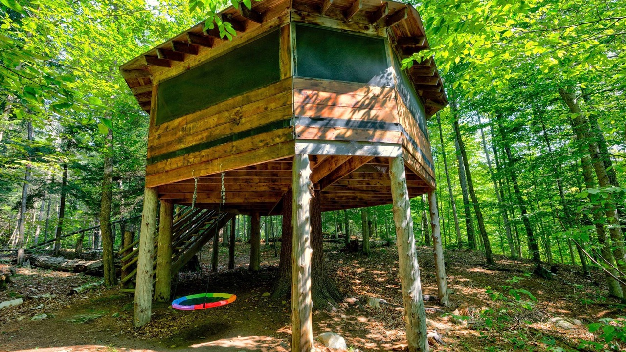 Photo of Others in Minerva