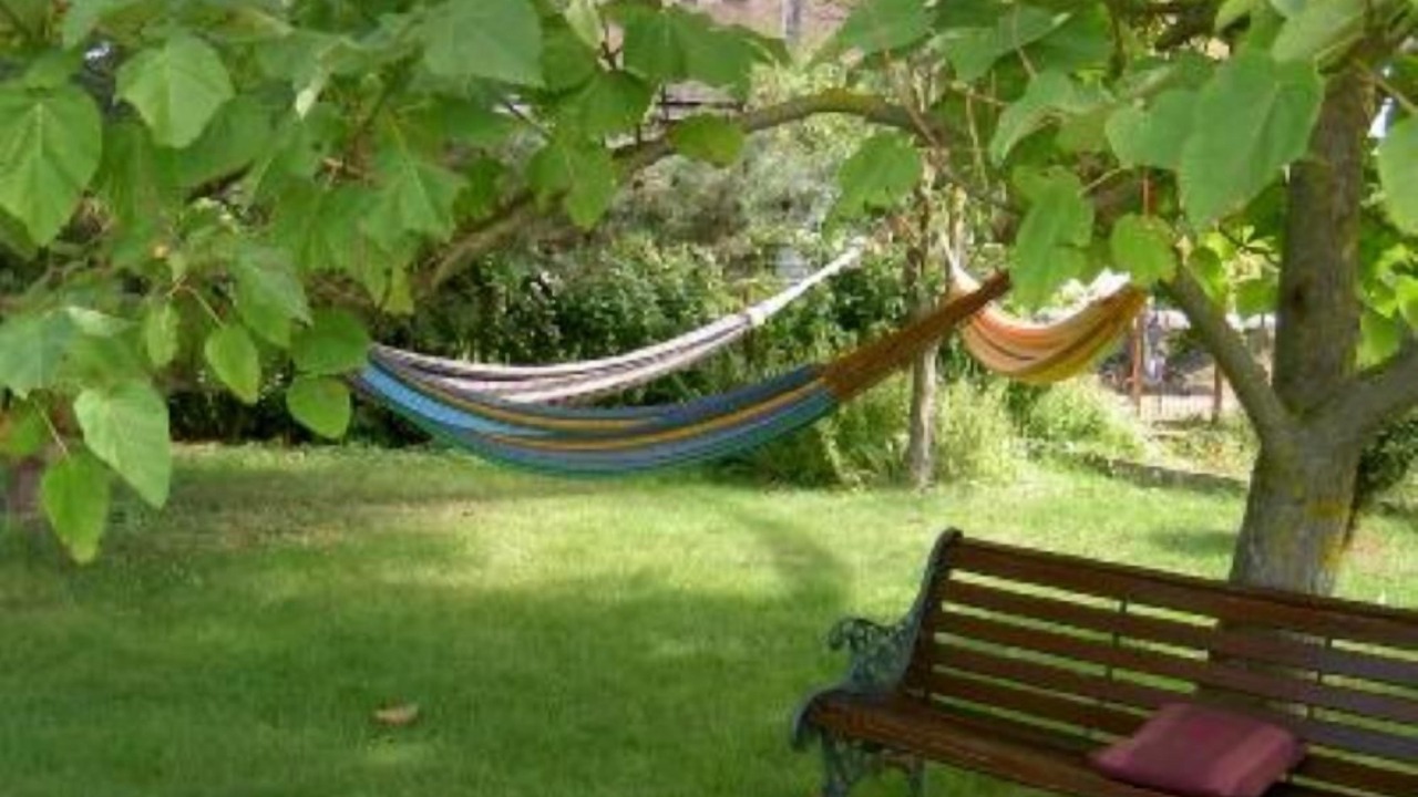 Photo of Outdoor in Scherwiller
