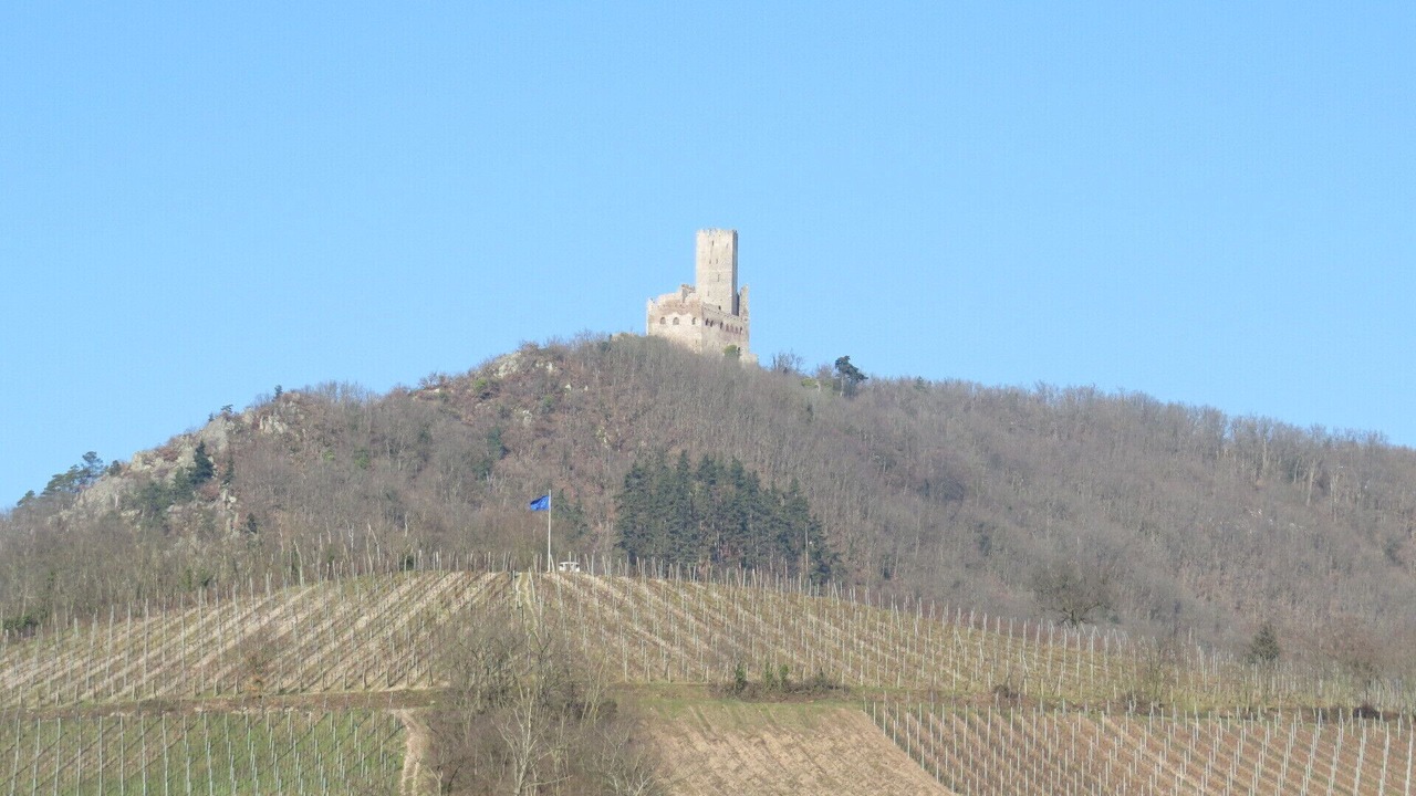 Photo of Others in Scherwiller