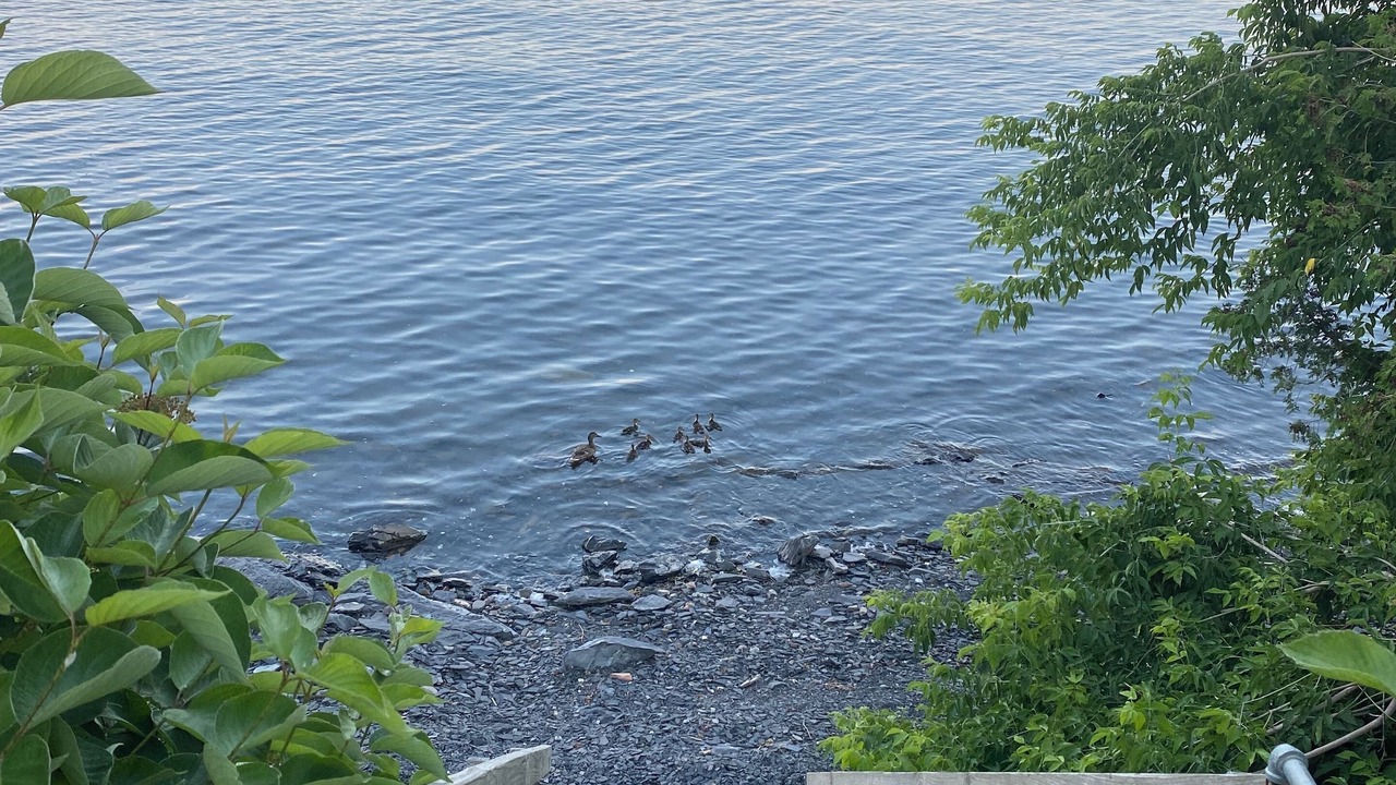 Photo of Others in North Hero