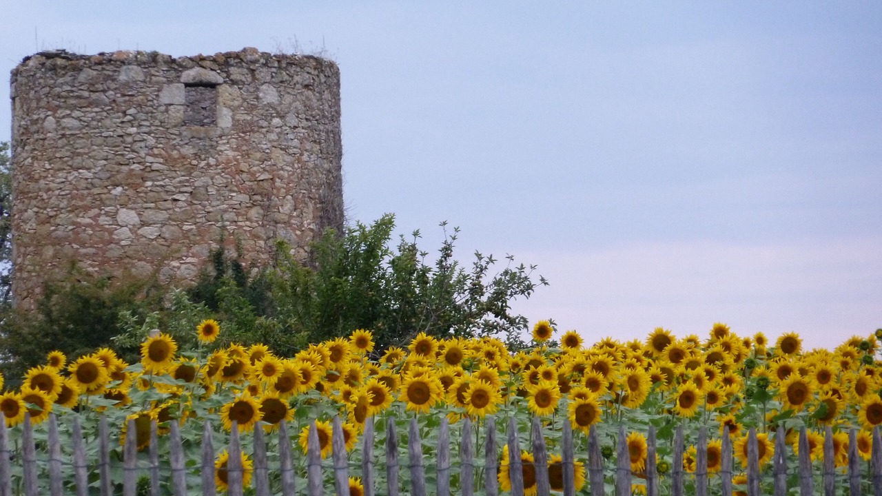 Photo of Outdoor in Castera-Verduzan