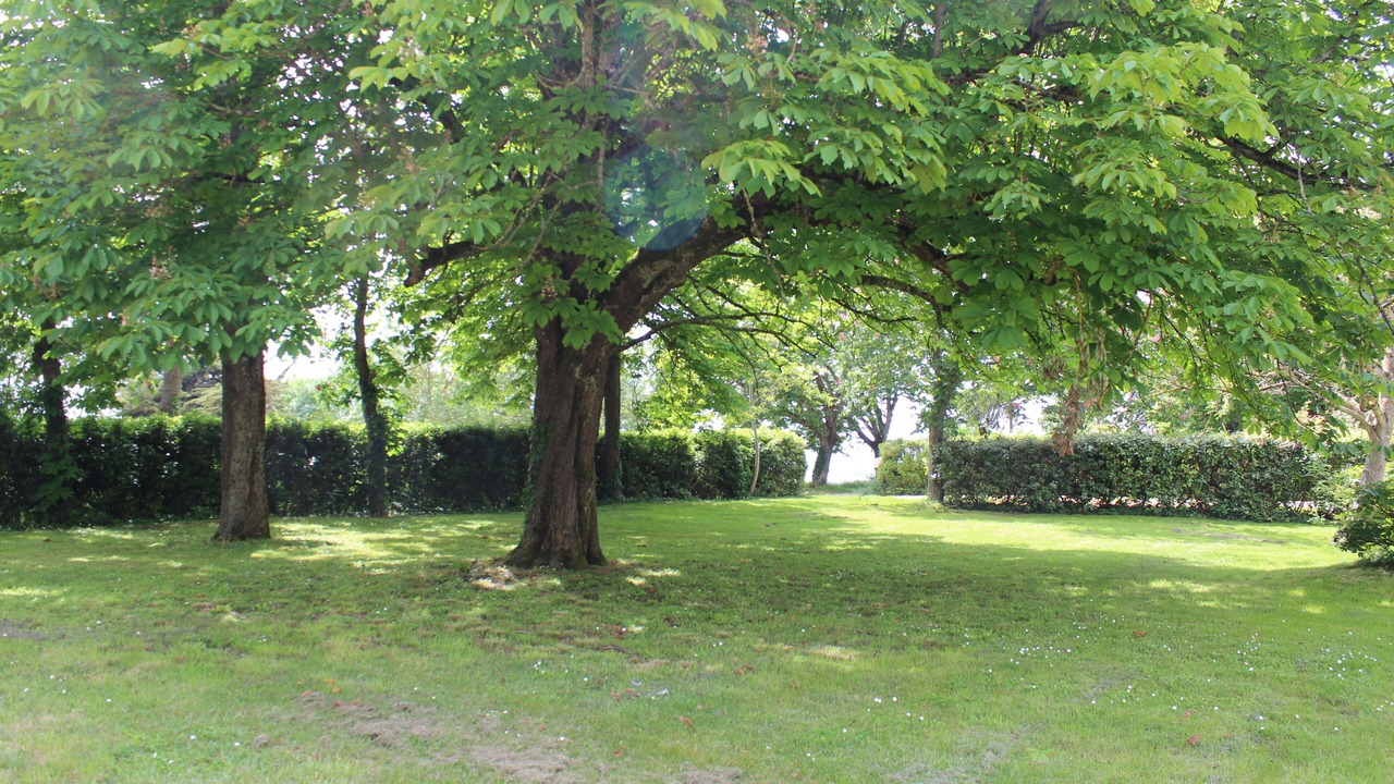 Photo of Outdoor in Castera-Verduzan