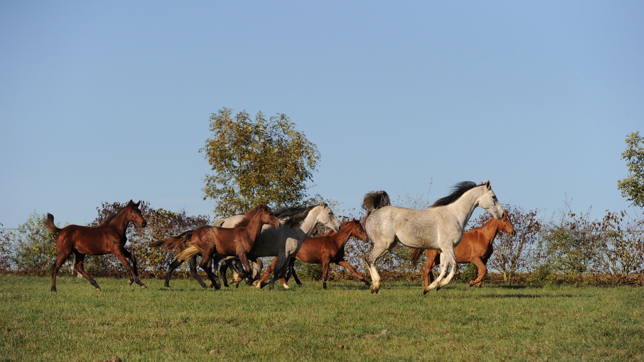 Photo of Outdoor in Castera-Verduzan