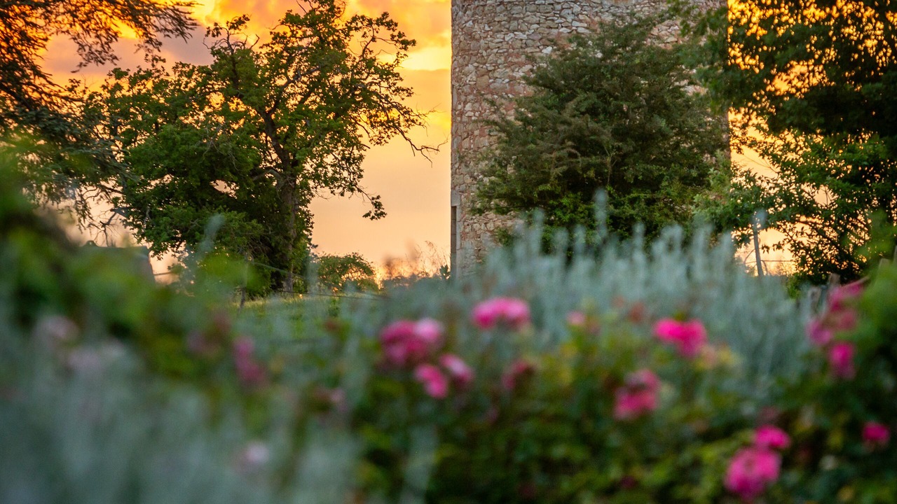 Photo of Outdoor in Castera-Verduzan