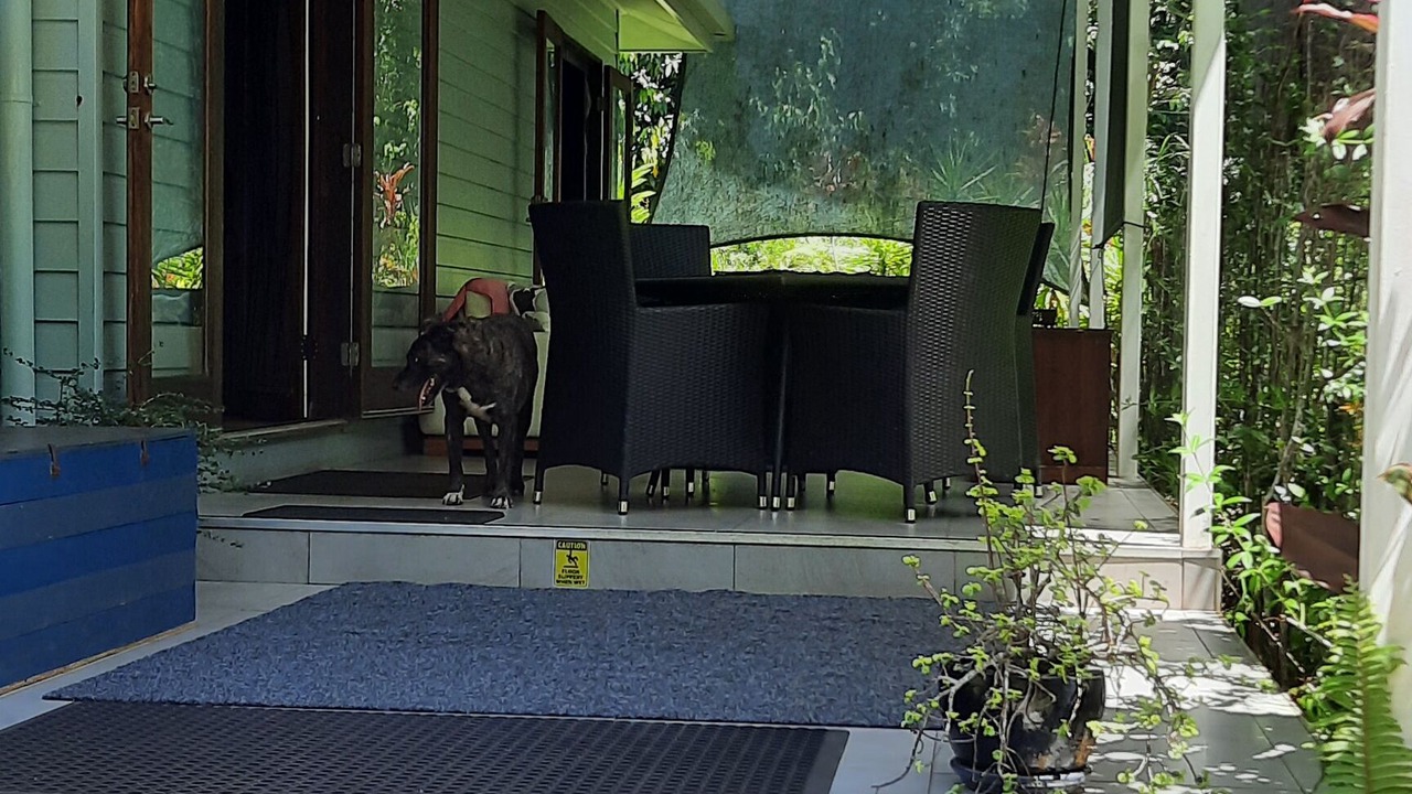 Photo of Outdoor in Cow Bay