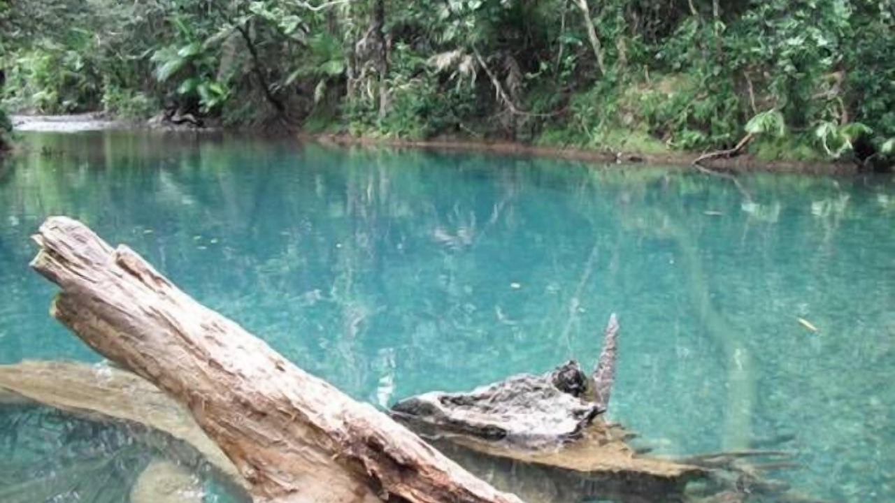 Photo of Outdoor in Cow Bay