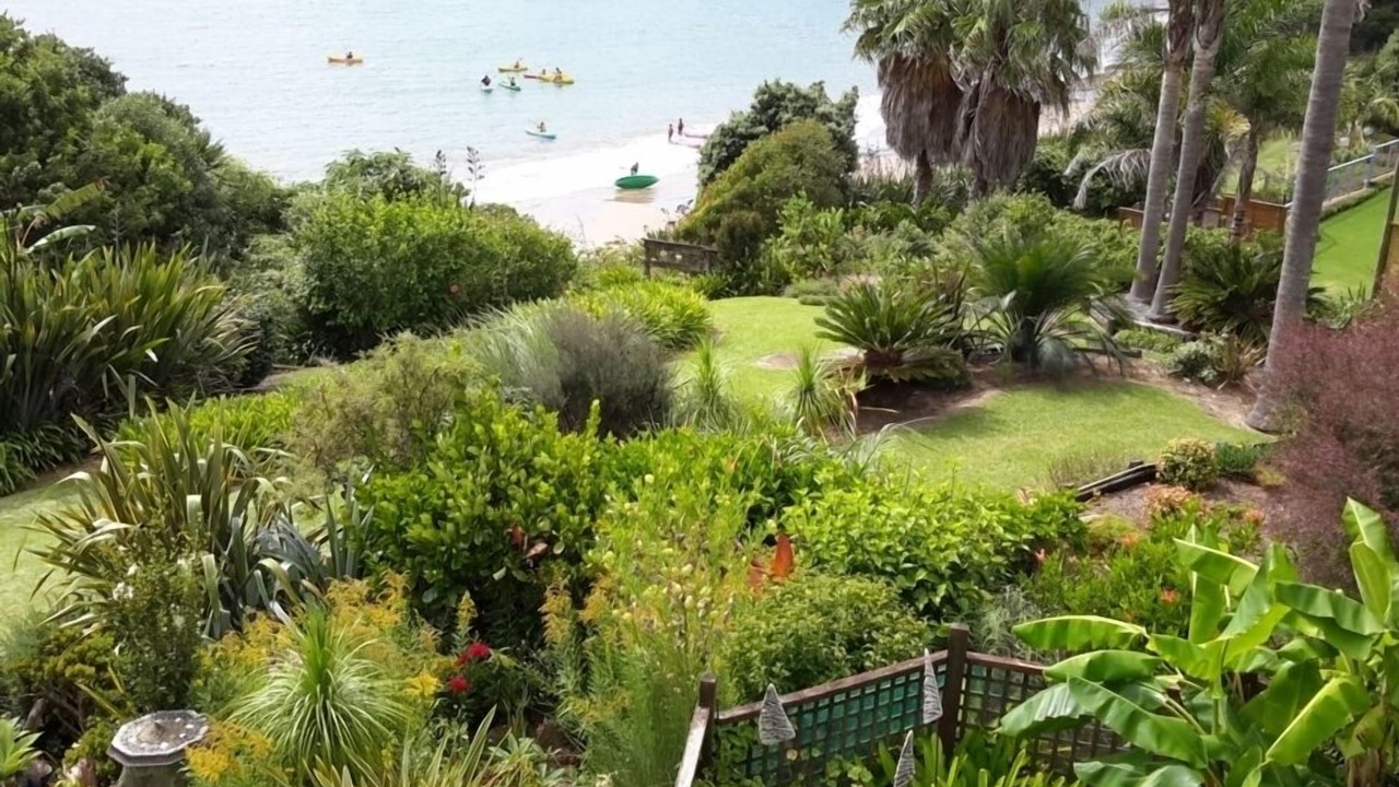 Photo of Others in Coopers Beach