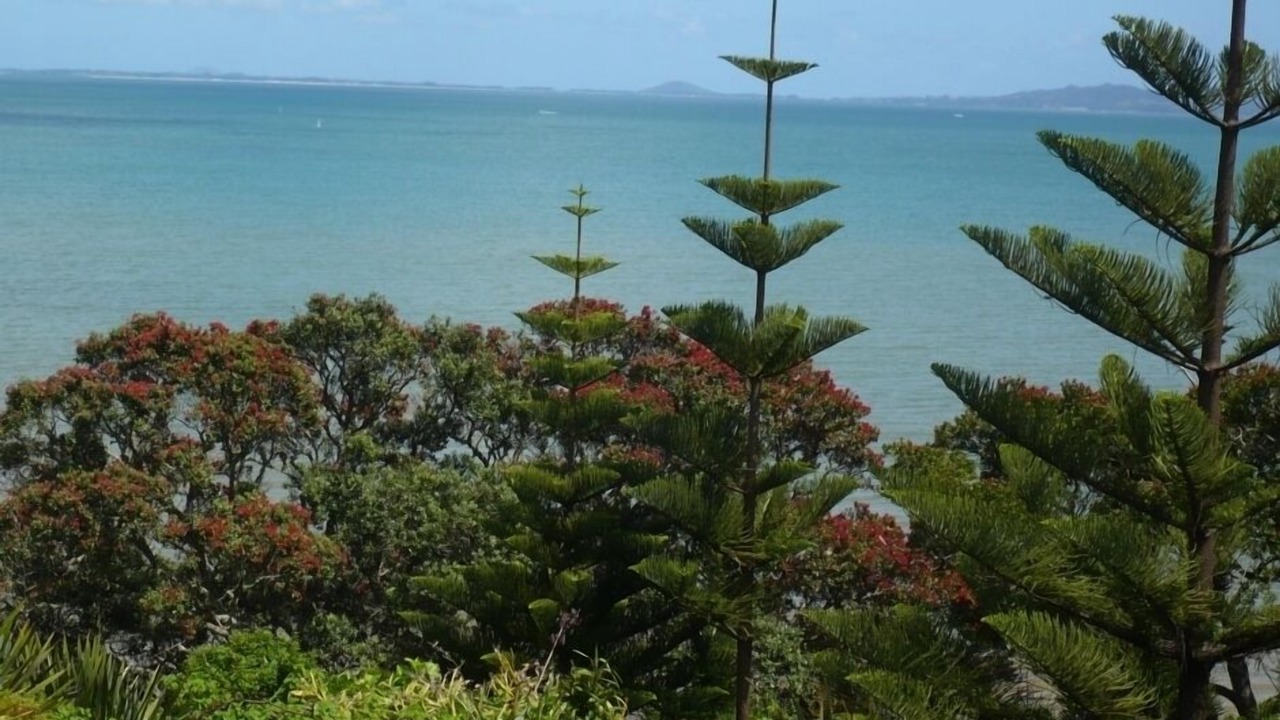 Photo of Others in Coopers Beach