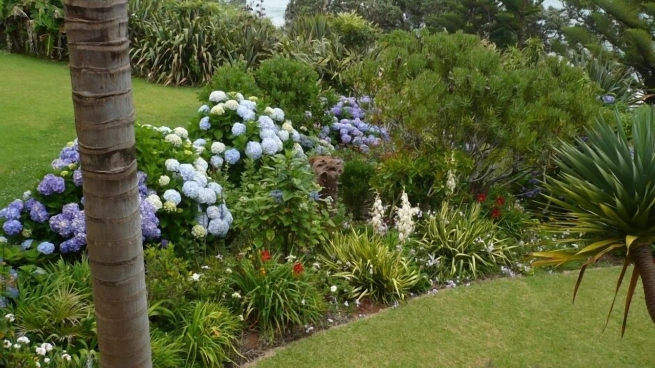 Photo of Outdoor in Coopers Beach