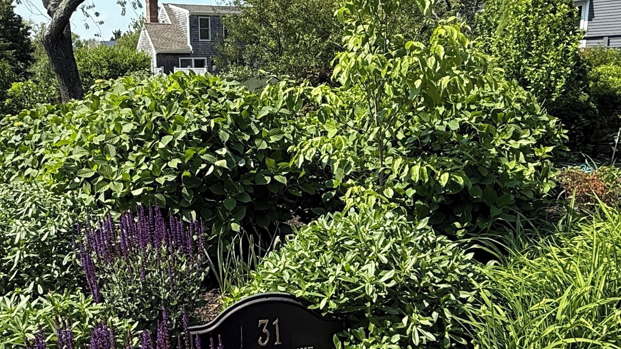 Photo of Others in Provincetown