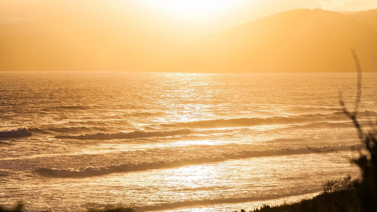 Photo of Others in Fairhaven