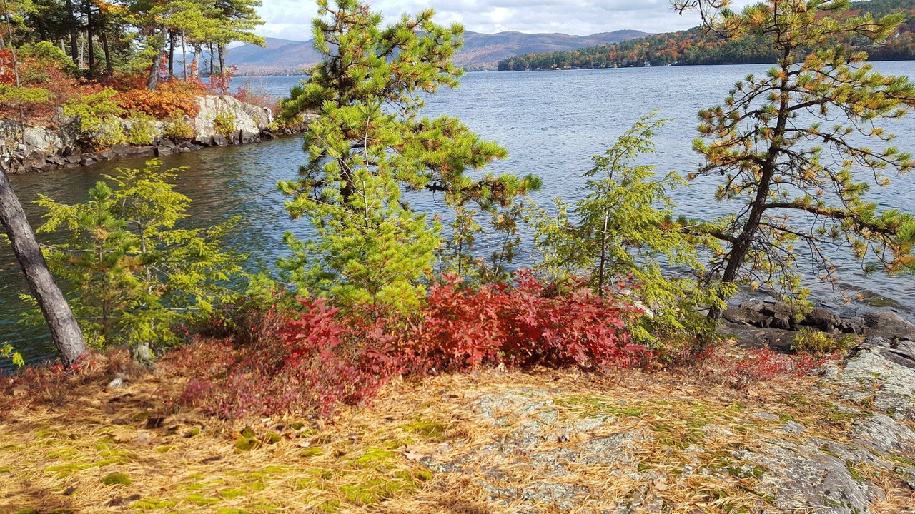 Photo of Others in Lake George