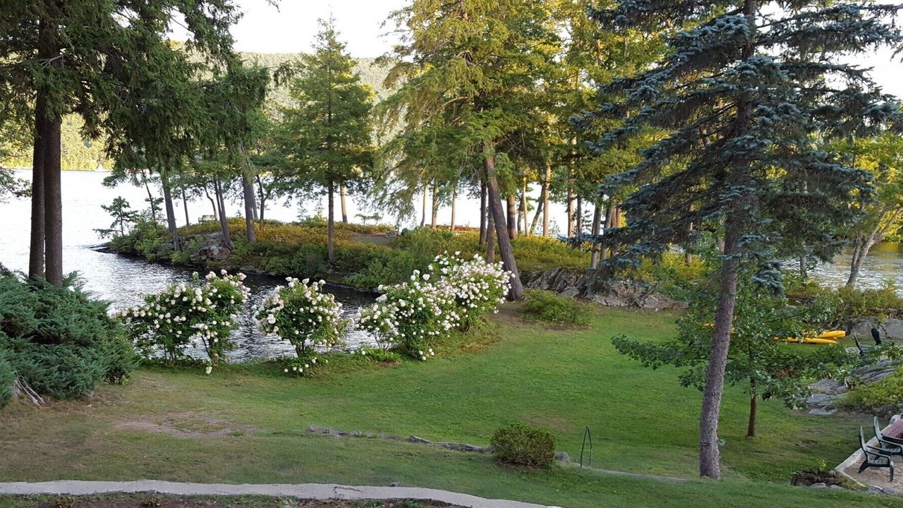 Photo of Others in Lake George