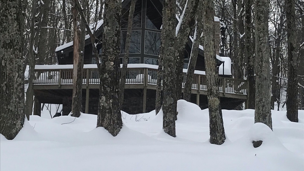 Photo of Outdoor in Nellysford