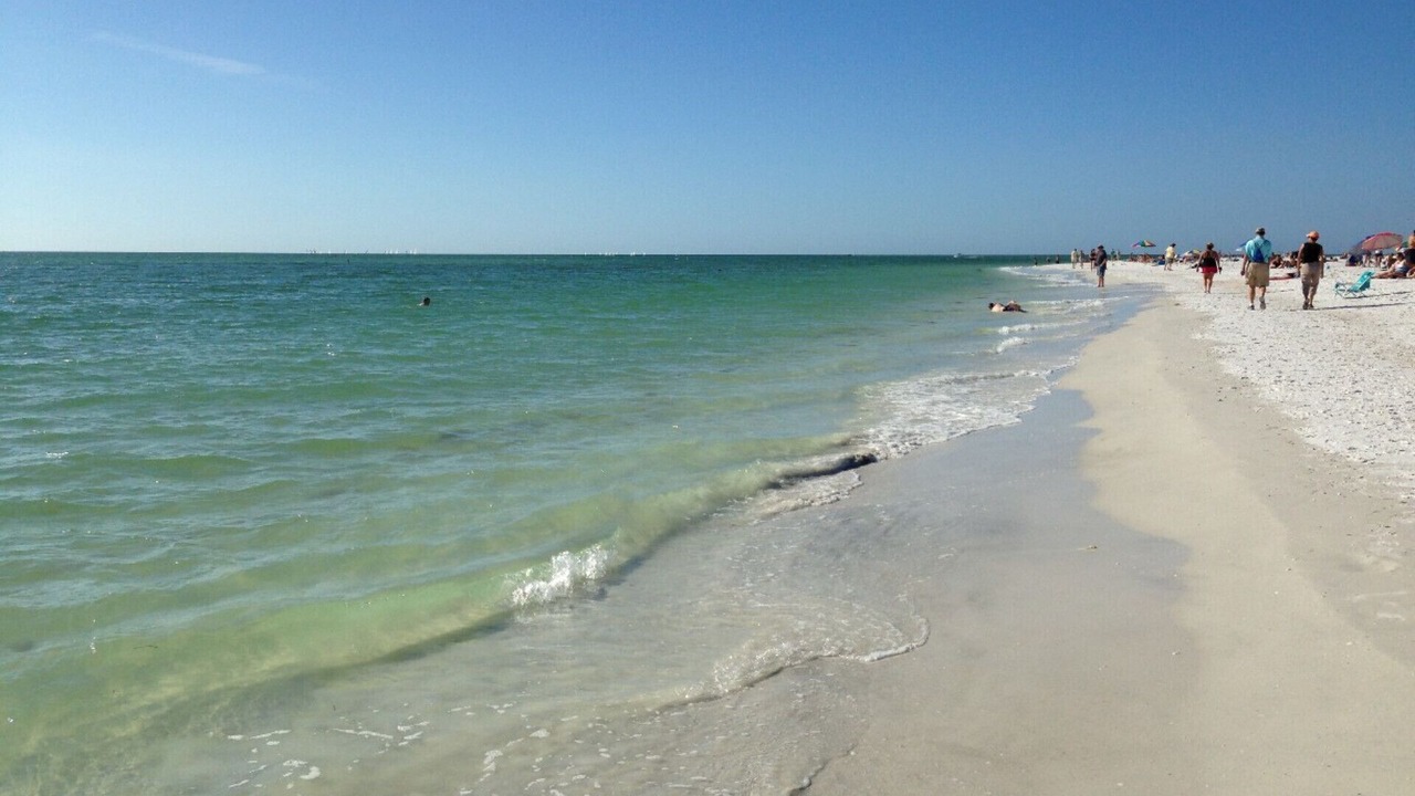 Photo of Others in Sarasota