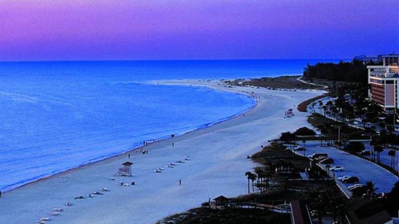 Photo of Others in Sarasota