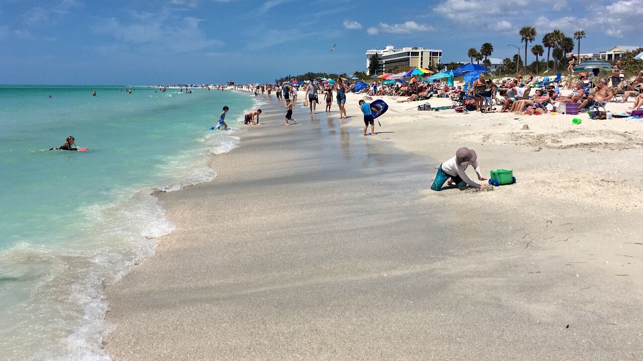 Photo of Others in Sarasota