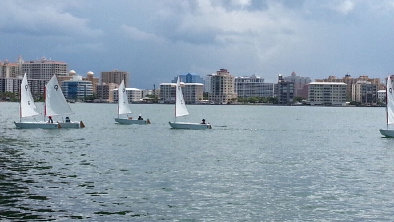 Photo of Others in Sarasota