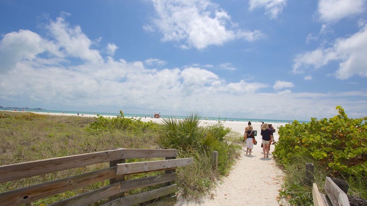 Photo of Others in Sarasota