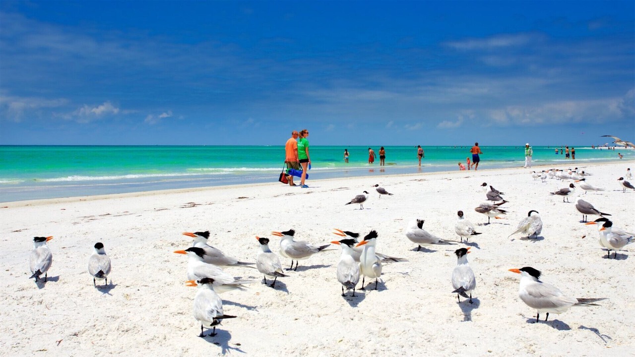 Photo of Others in Sarasota